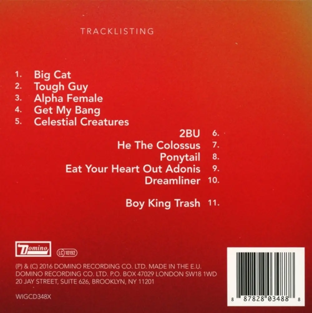 BOY KING