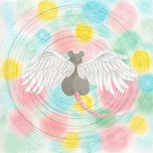 CD ANIMARU