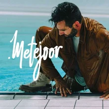 CD METEJOOR (2LP)