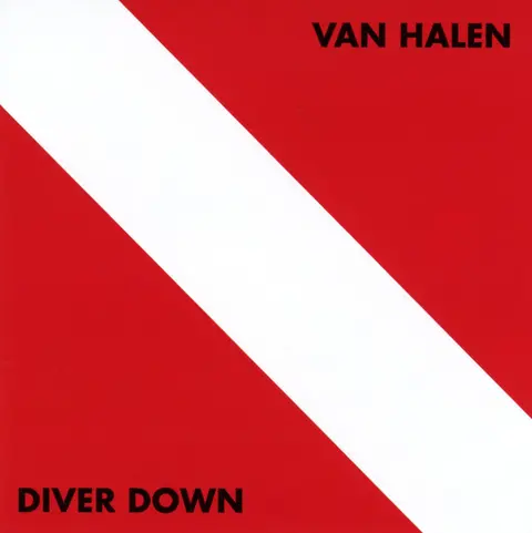 DIVER DOWN