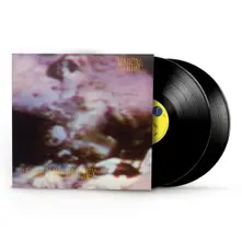 Vinyl THE LAND OF RAPE AND HONEY