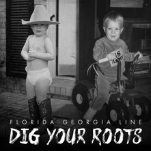 CD DIG YOUR ROOTS