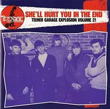 Various Artists – SHE LL HURT YOU IN THE END (Vinyl)
