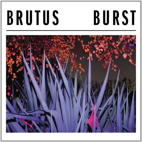Brutus – Vinyl BURST