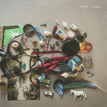 Vinyl VILLAGERS