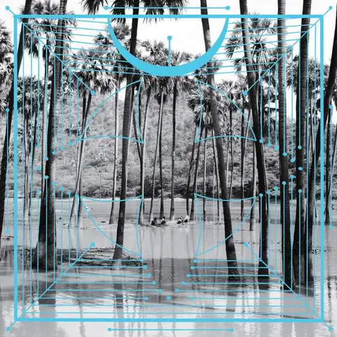 Four Tet – Vinyl PINK