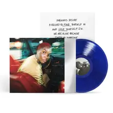Vinyl AMBIGUOUS DESIRE