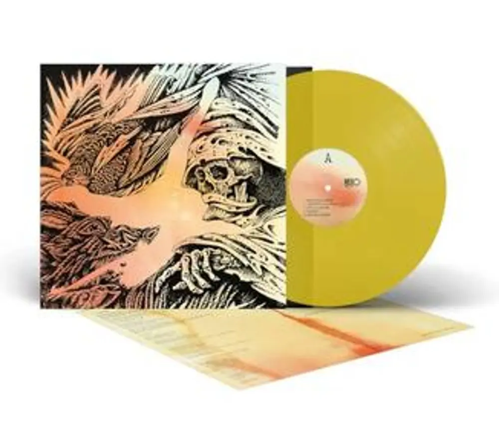 The Heavy Eyes – FOCUS (Vinyl)