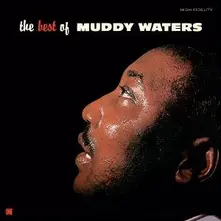 Muddy Waters, Vinyl THE BEST OF MUDDY WATERS