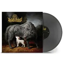 DEAR DESOLATION thumbnail