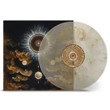 Vinyl EQUINOX