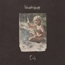 Wunderhorse, Vinyl CUB