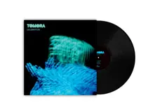 Vinyl CELEBRATION