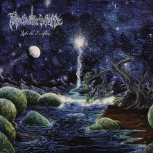 CD Into the Everflow (Re-Issue 2024)
