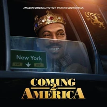 Vinyl Coming 2 America