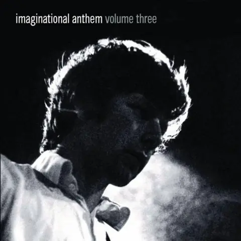 IMAGINATIONAL ANTHEM 3