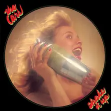 Vinyl SHAKE IT UP