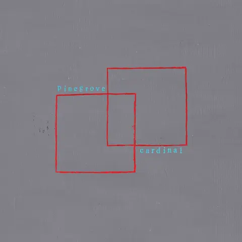 Pinegrove – Vinyl CARDINAL