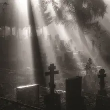VENI NOX ANIMA thumbnail