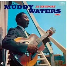 Vinyl AT NEWPORT 1960/ MUDDY WATERS SINGS BIG BILL
