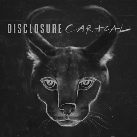 Caracal (10th Anniversary Edition) (Zoetrope Vinyl)