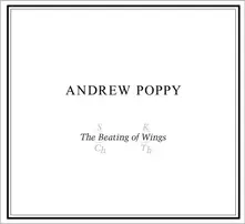 BEATING OF WINGS thumbnail