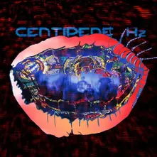 Animal Collective – CENTIPEDE HZ (Limited) (CD)