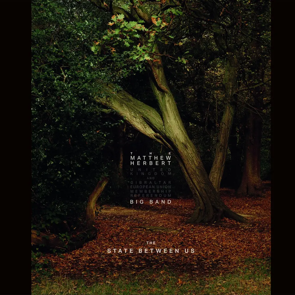 The Matthew Herbert United Kingdom And Gibraltar European Union Membership Referendum Big Band – THE STATE BETWEEN US (Vinyl)