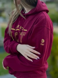ESTD 1876 Hoodie thumbnail