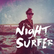 Vinyl NIGHT SURFER