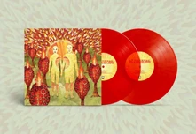Vinyl SUNLANDIC TWINS