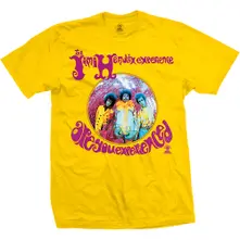 Are You Experienced