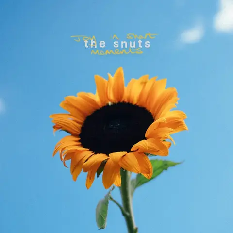 JOY IN SHORT MOMENTS
