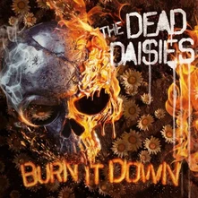 CD BURN IT DOWN