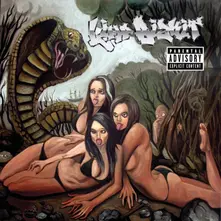Limp Bizkit – Gold Cobra (CD)