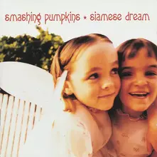 The Smashing Pumpkins, Vinyl Siamese Dream