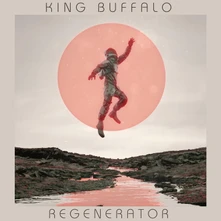 Vinyl REGENERATOR