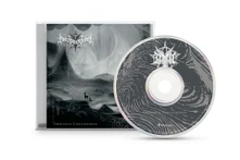 CD Omniverse Consciousness