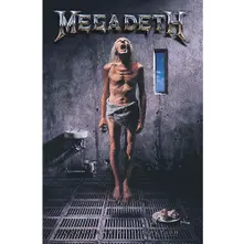 Plagát Countdown to Extinction