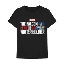 Falcon & Winter Soldier Text Logo thumbnail