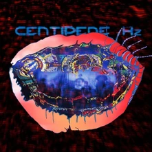 Animal Collective, CD CENTIPEDE HZ