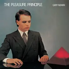 Vinyl PLEASURE PRINCIPLE