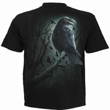 Shadow Raven thumbnail