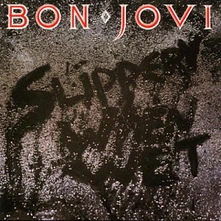 Vinyl SLIPPERY WHEN WET