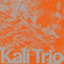 KALI TRIO, Vinyl THE PLAYFUL ABSTRACT