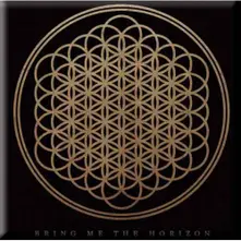 Bring me the horizon – Flower (Magnetka)