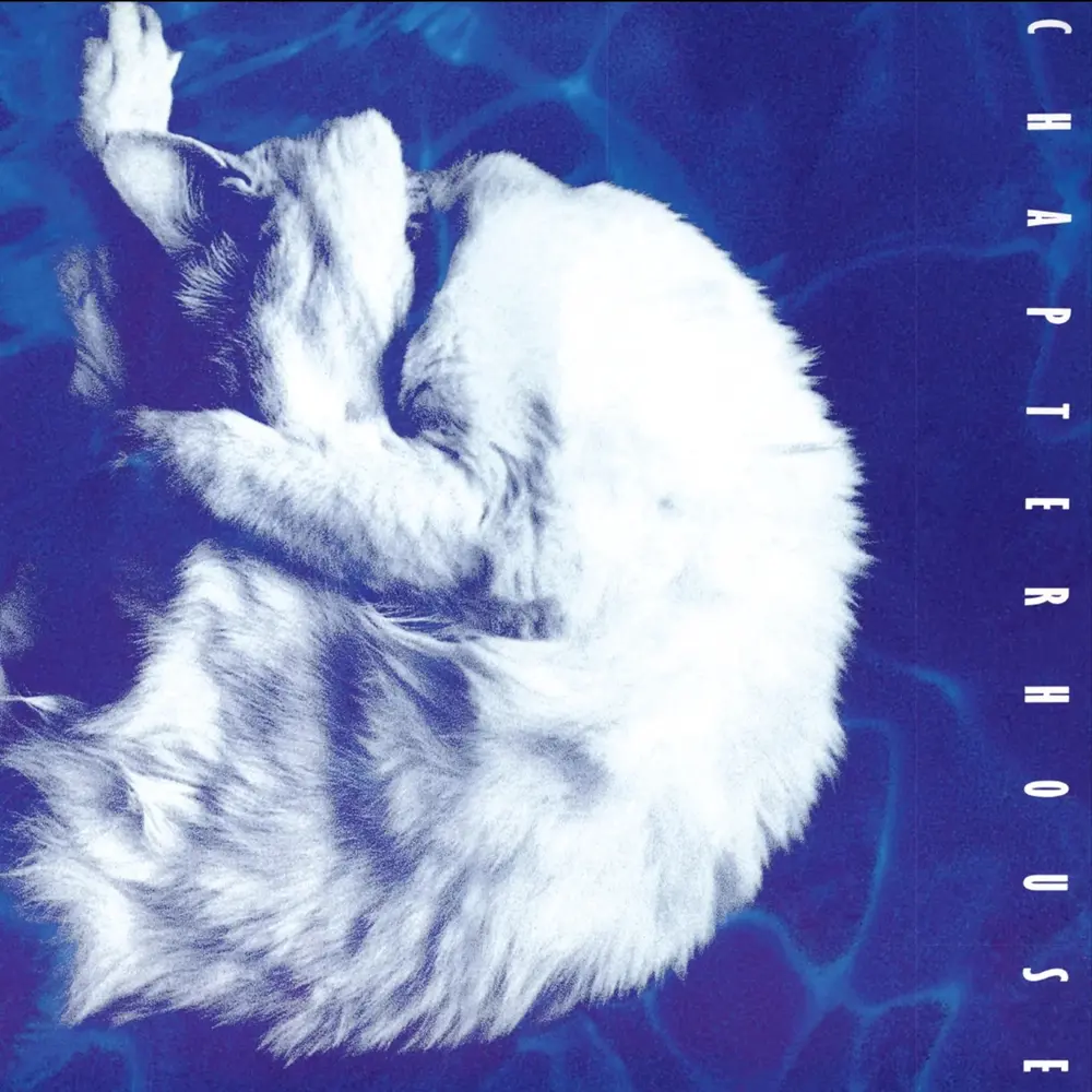 Chapterhouse – WHIRLPOOL (Vinyl)
