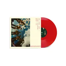 Bananagun – WHY IS THE COLOUR OF THE SKY? (Vinyl)