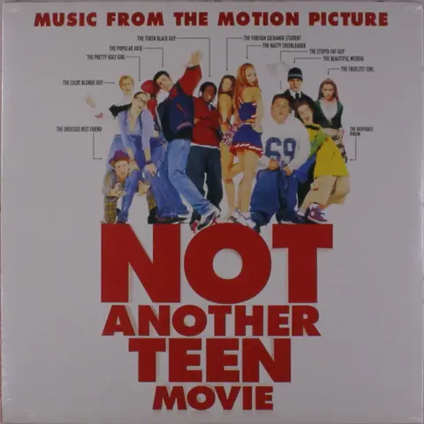 Various Artists – Vinyl NOT ANOTHER TEEN MOVIE