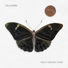 Villagers, Vinyl THAT GOLDEN TIME